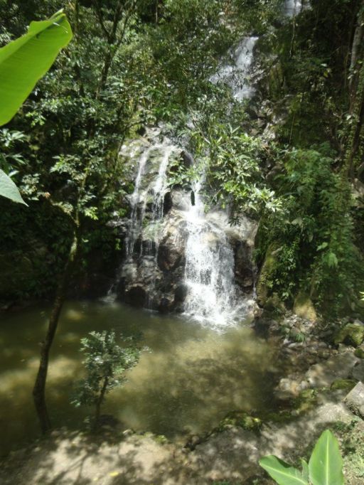 529517_980113917425_888768123_n Waterfall in Minca