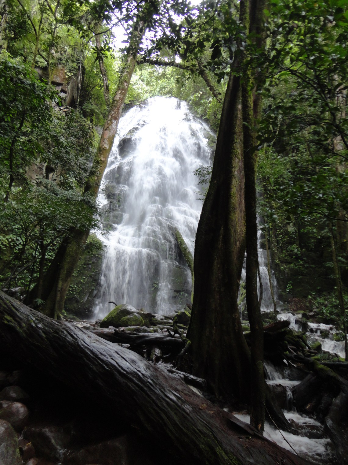 Just another lovely waterfall in Costa Rica