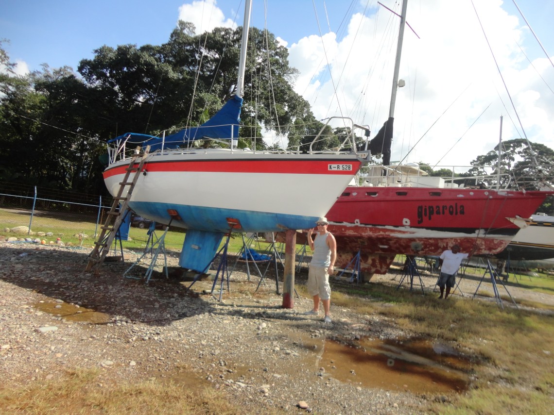 Captain Marvin and Hedwig