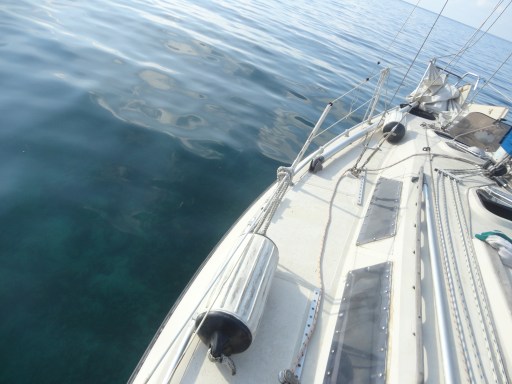 Docked in Utila's Harbor
