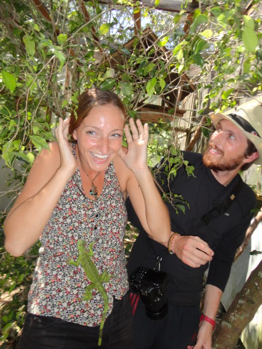 Getting attacked by baby iguanas in San Ignacio