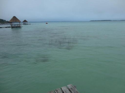 538136_10100194028333195_2129237481_n