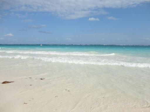 559885_10100194028423015_145459963_n