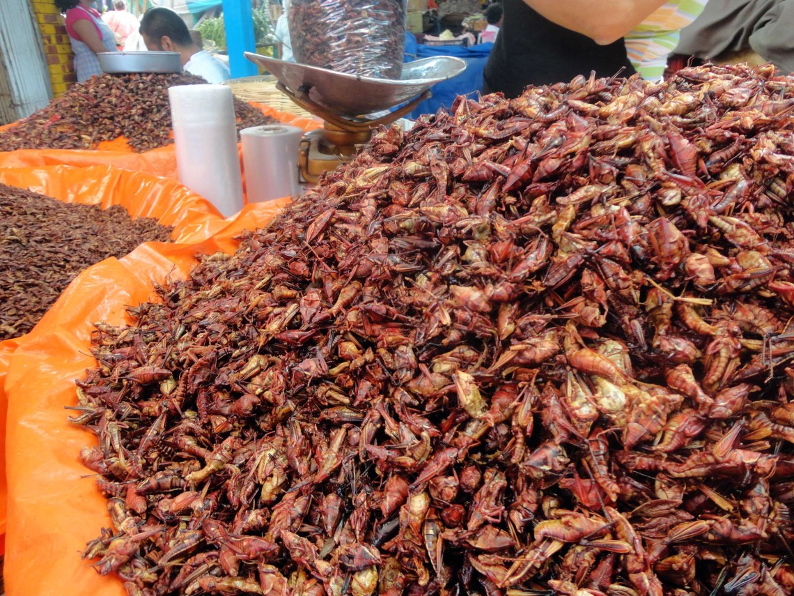 A local delicacy for sale at the Oaxaca market