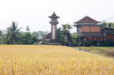 Countryside near Ubud, Bali