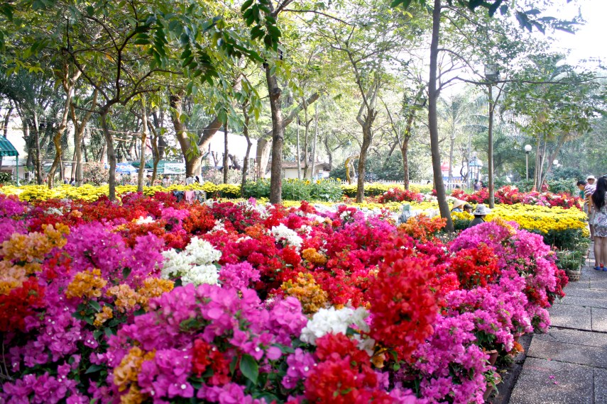 Flowers flowers everywhere!