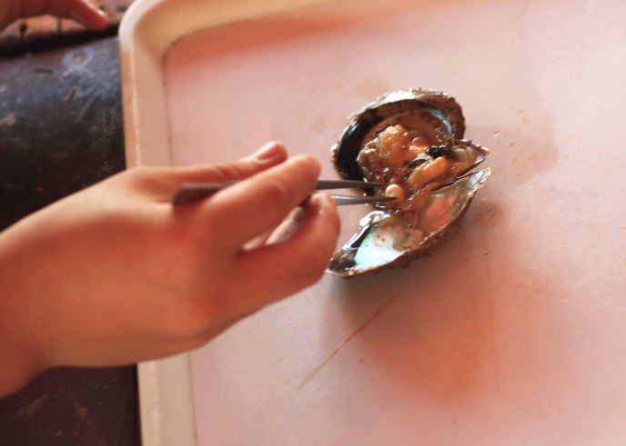 Harvesting the pearl, Ha Long Bay, Vietnam