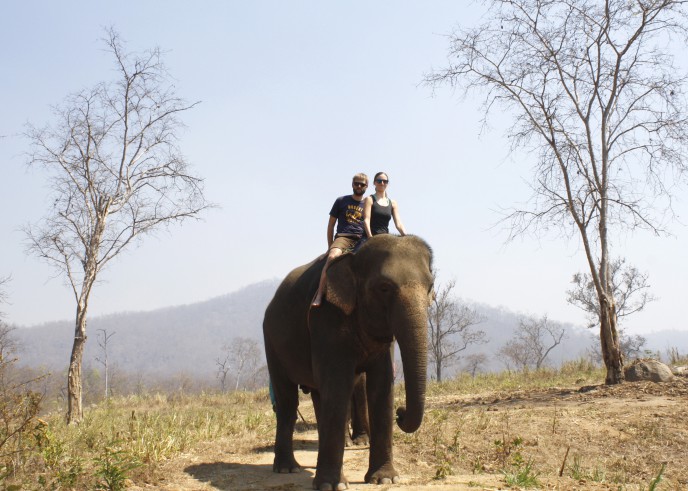 Thom's Elephant Camp