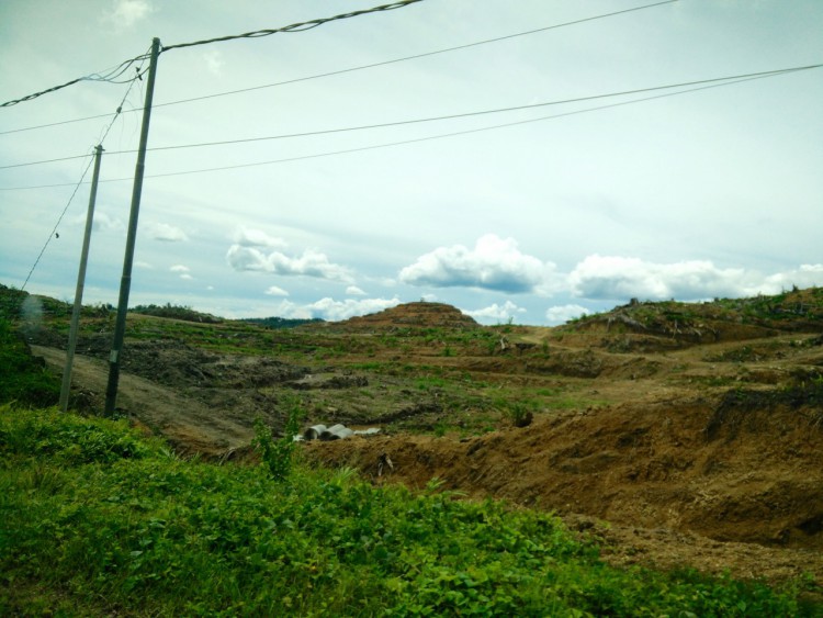 Sabah, Malaysia, Borneo