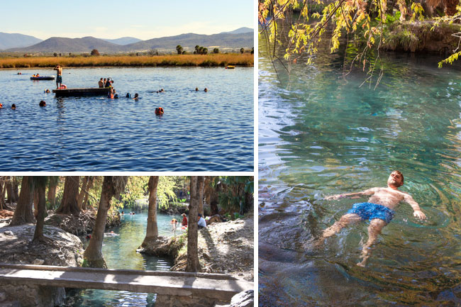 BlogCollage-medialuna